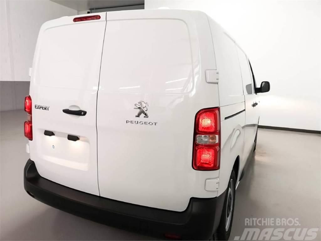 Peugeot Expert Fg. Long 2.0BlueHDi S&amp;S Pro 120 Panel vans