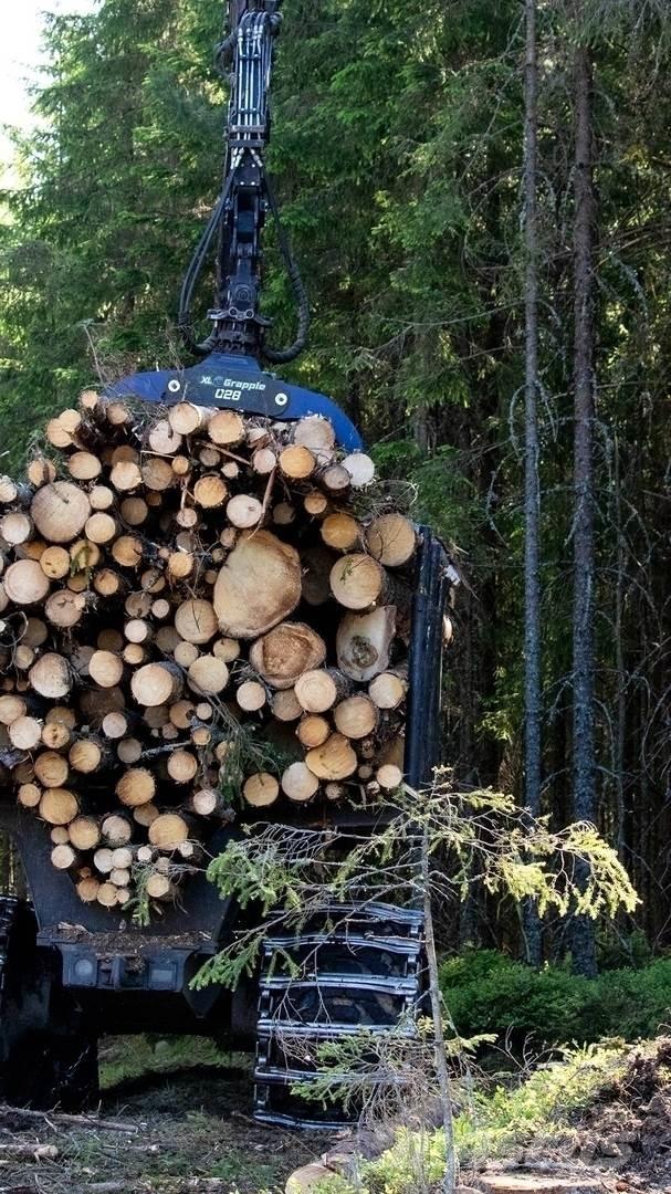  XL Grapple 028 Gribere