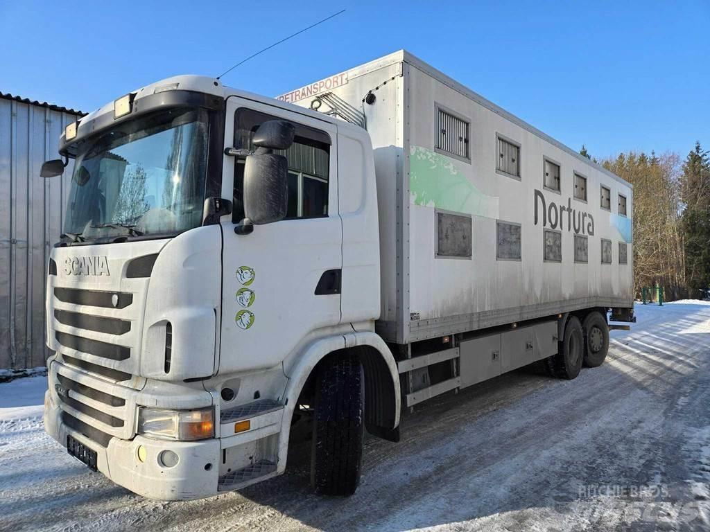 Scania G440 Lastbiler til dyretransport