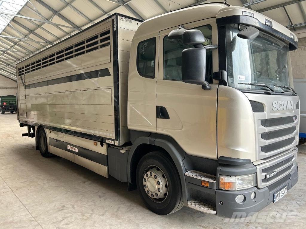 Scania G 320 Lastbiler til dyretransport