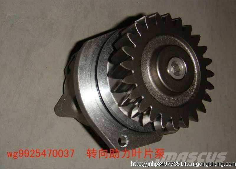 zhongqi WG9925470037 Motorer