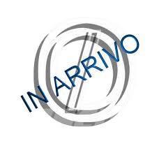 CAT 745 Terrængående lastbiler