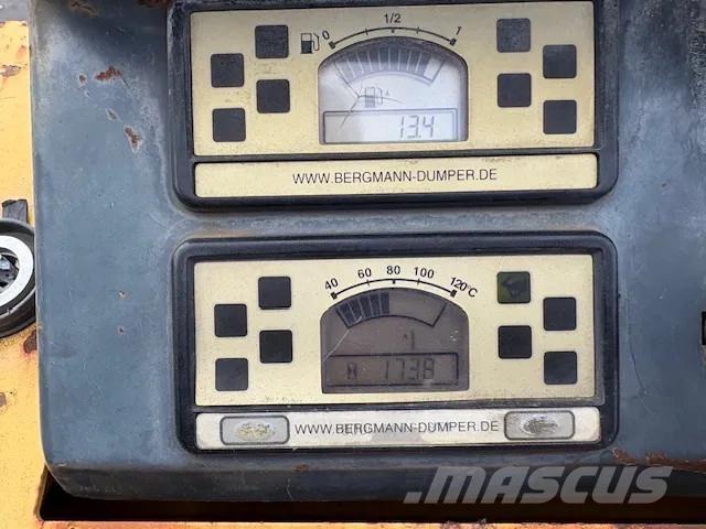 Bergmann 2050 Dumpere