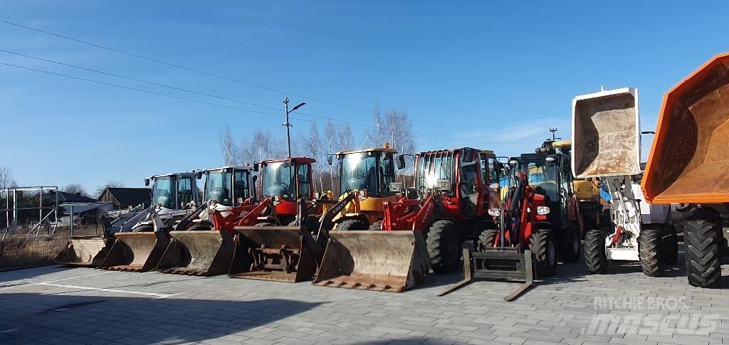 Liebherr L 550 Læssemaskiner på hjul