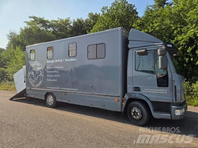Iveco E 75 Lastbiler til dyretransport