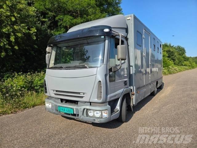 Iveco E 75 Lastbiler til dyretransport