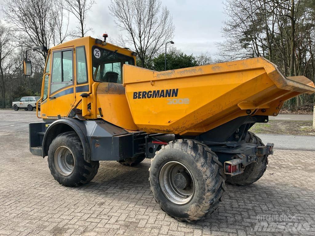 Bergmann 3009 R Terrængående lastbiler