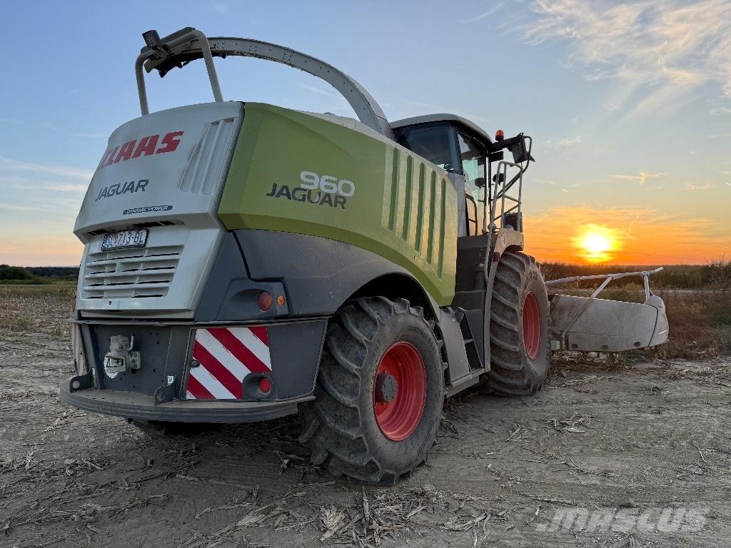 CLAAS Jaguar 960 4WD Grønthøster