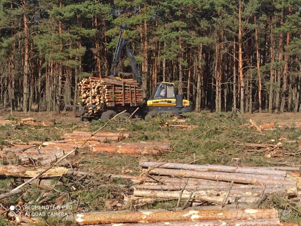 Ponsse Buffalo King Udkørselsmaskiner