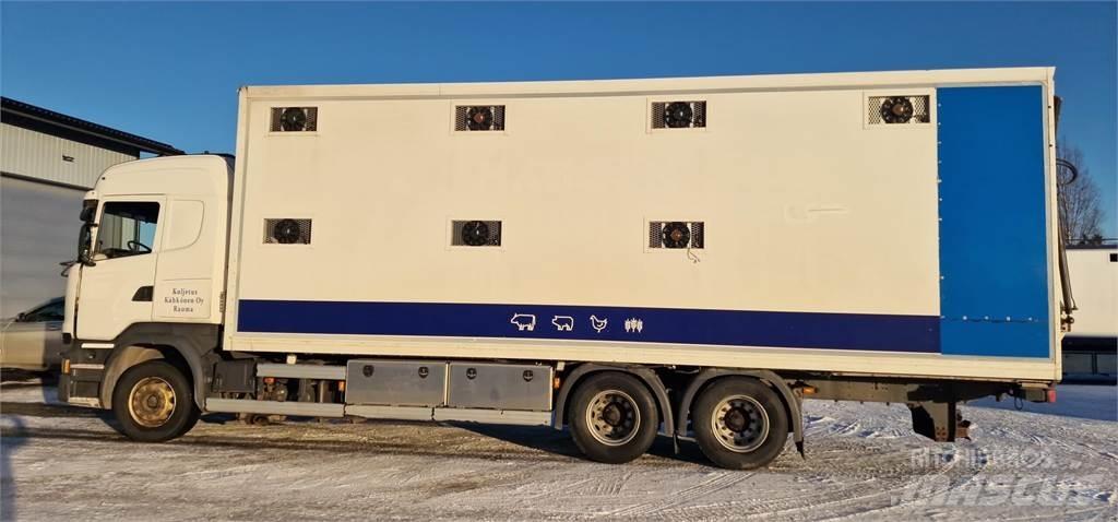 Scania R450 Lastbiler til dyretransport