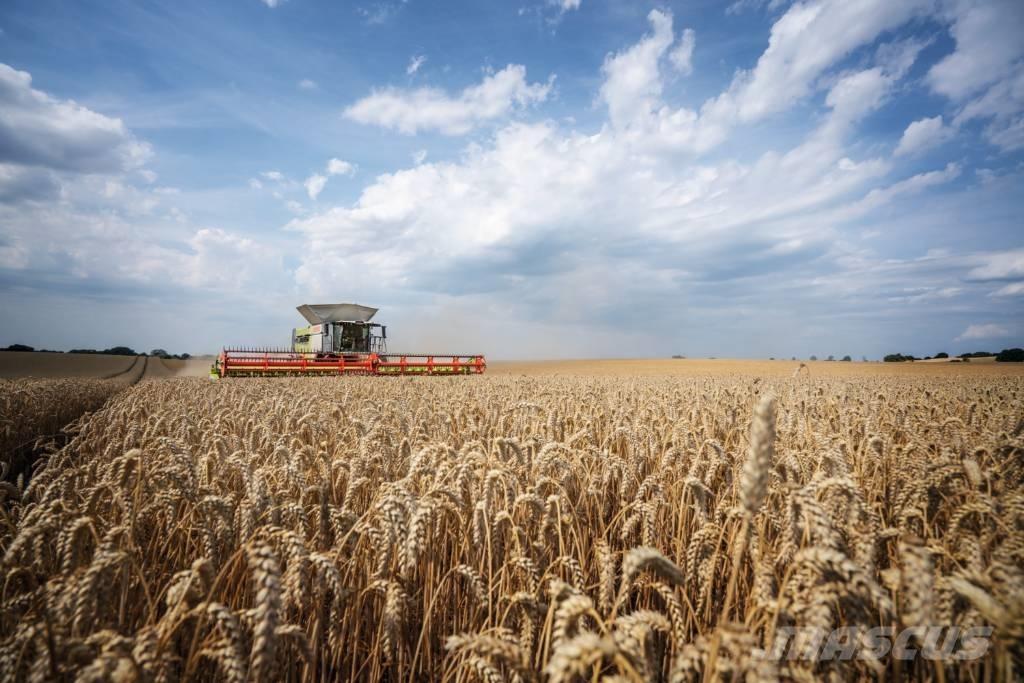 CLAAS Convio 930 Tilbehør til mejetærskere