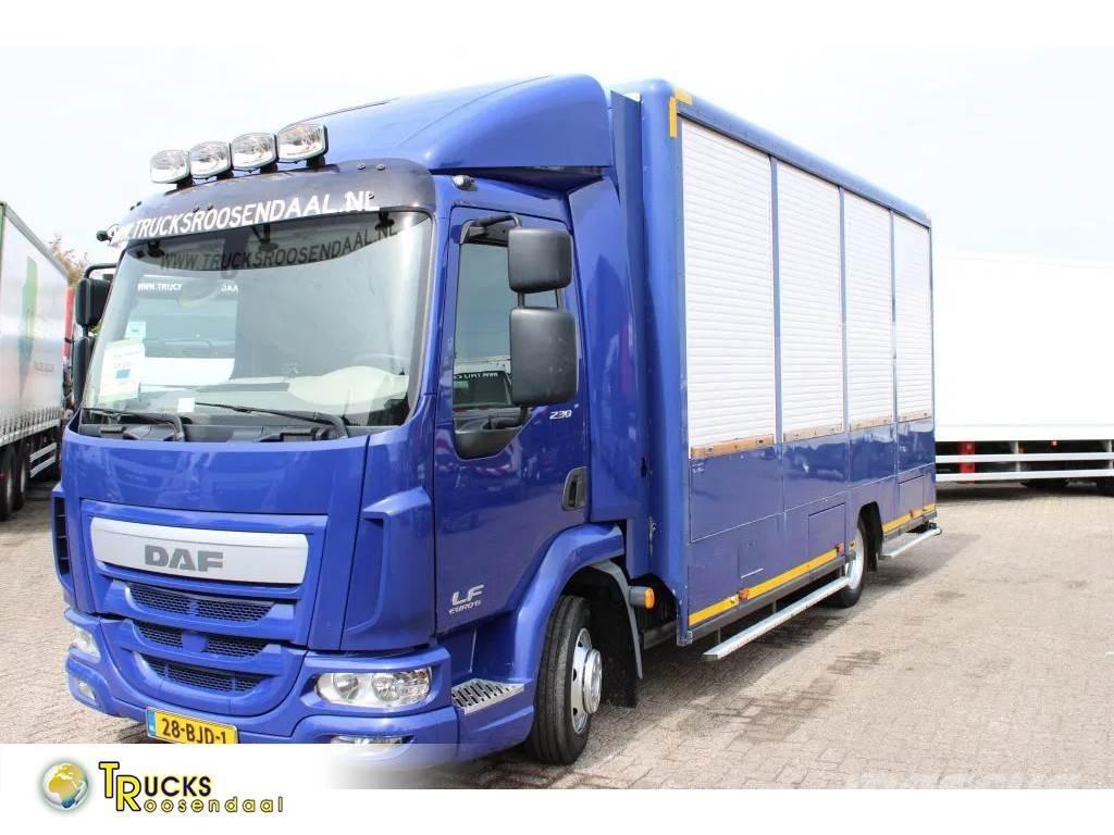 DAF LF 230 + EURO 6 Fast kasse