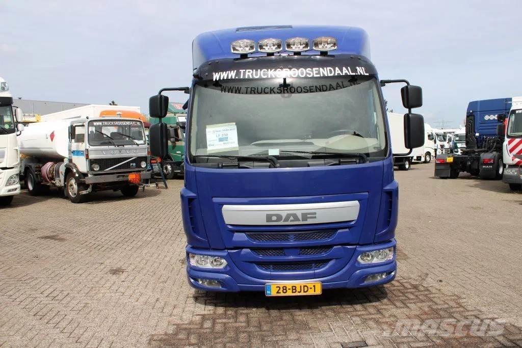 DAF LF 230 + EURO 6 Fast kasse
