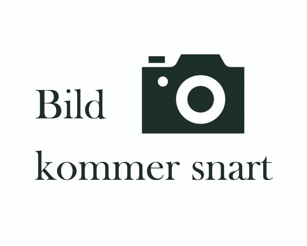 BT LPE250 El-palleløftere med platform