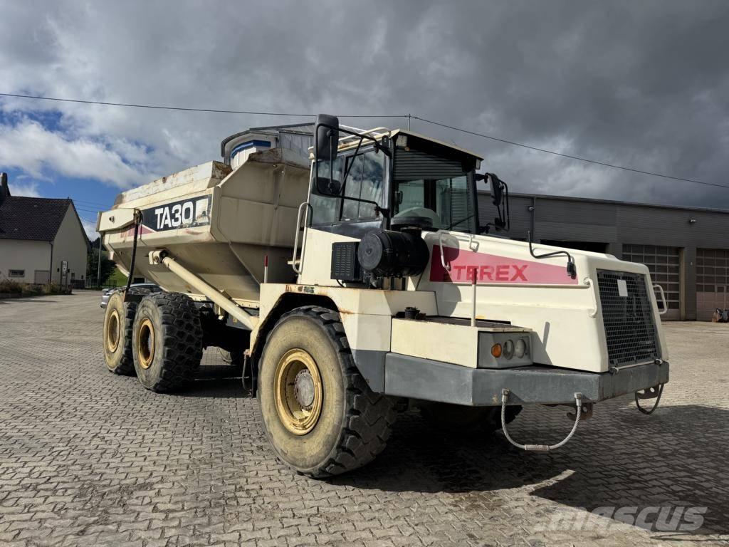 Terex TA 30 Terrængående lastbiler