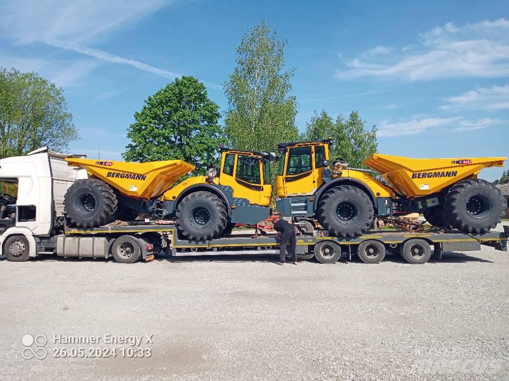 Bergmann C815S Terrængående lastbiler