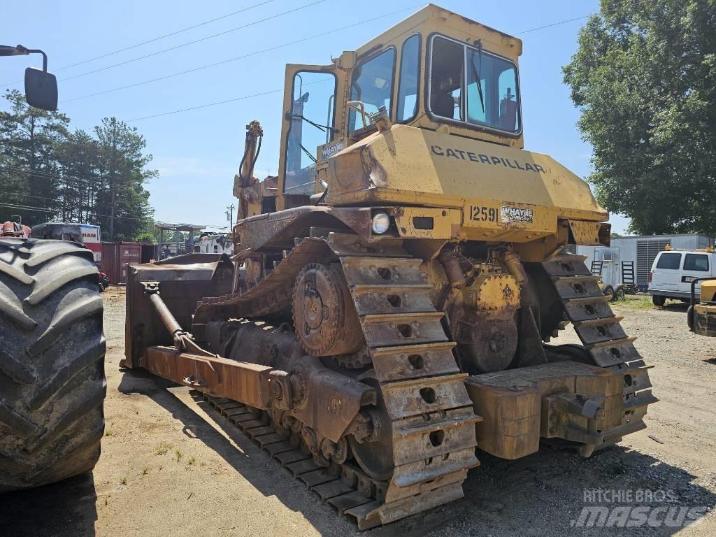 CAT D8N Bulldozer på larvebånd