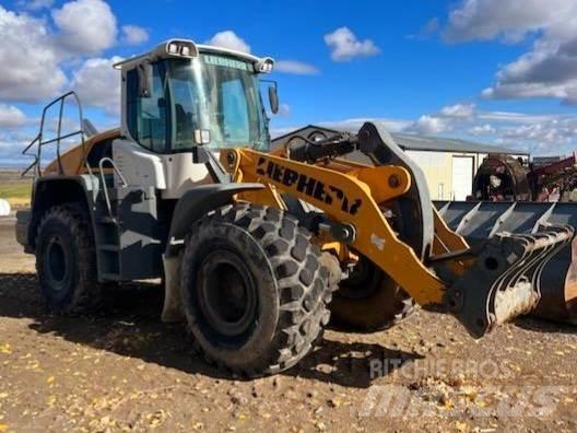 Liebherr L550 Entreprenør - Andet