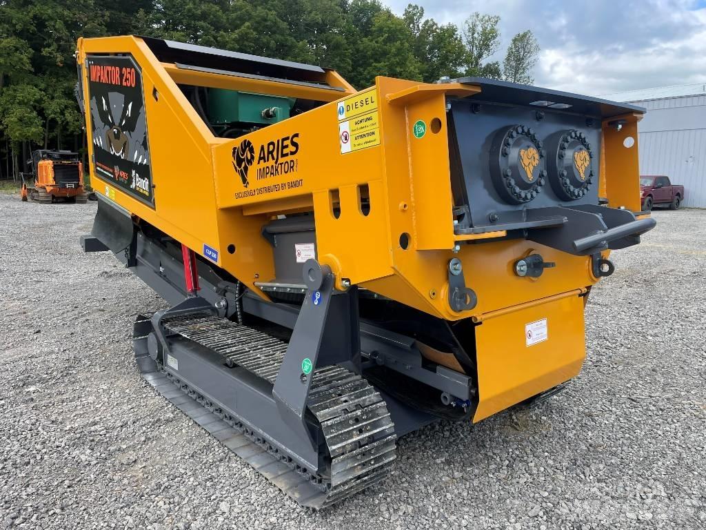 Arjes 250 Motor & Gear