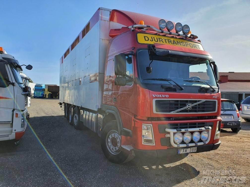 Volvo FM12 Lastbiler til dyretransport