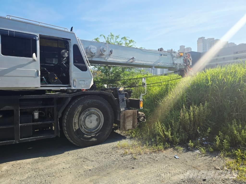 Tadano TR 250 M-5 Kraner til hårdt terræn
