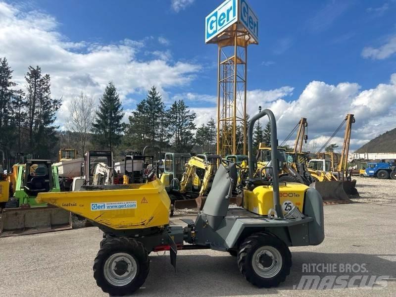 Neuson 3001 Dumpere