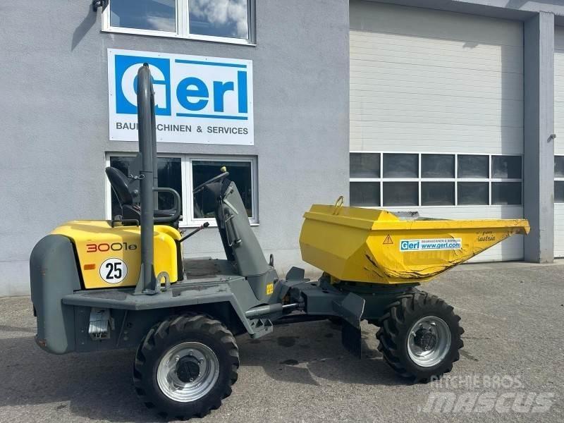 Neuson 3001 Dumpere