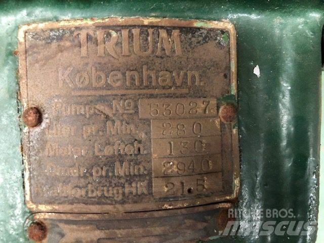  TRIUM QZKS Vandpumpe Vandpumper