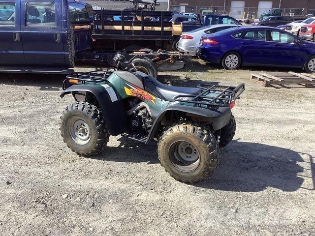 Arctic Cat 454 ATV'er