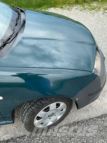 Skoda Fabia Varevogne