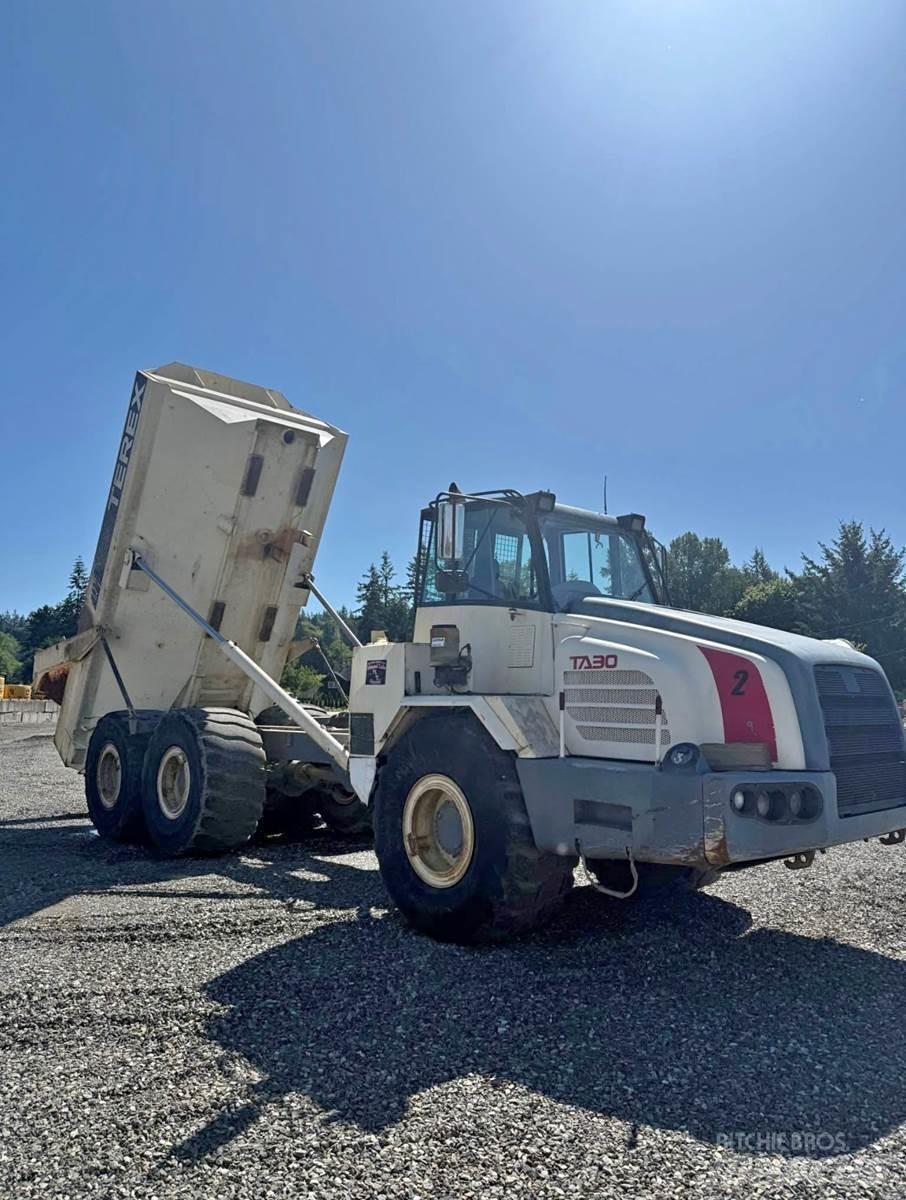 Terex TA30 Varevogne