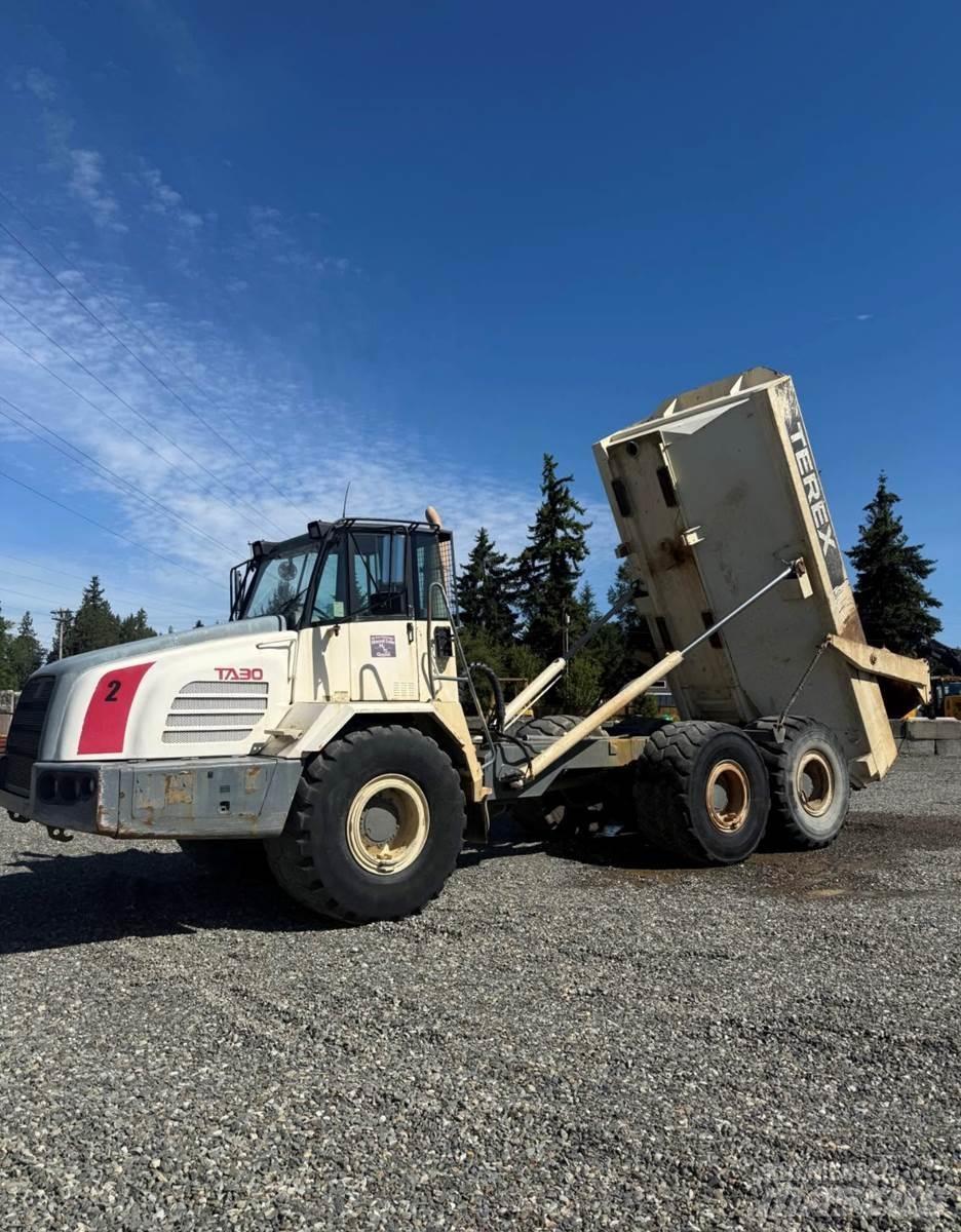 Terex TA30 Varevogne