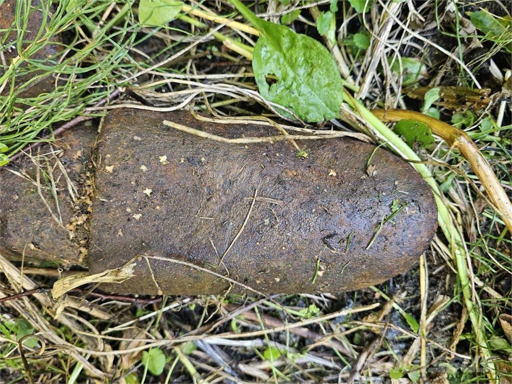  Kynsikuokkakauha Skovle