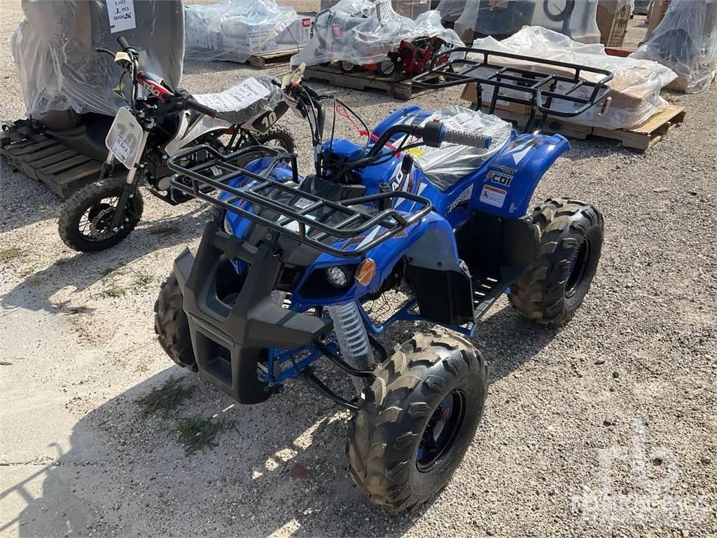  TAO T125 ATV'er