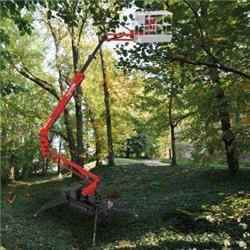 Platform Basket Spider 18.95