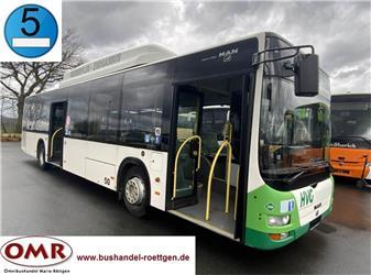 MAN A 21
