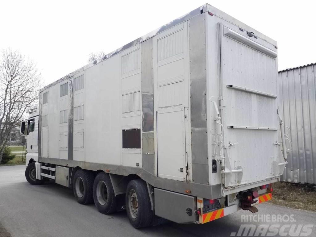 MAN TGX 35.540 8X4 TRIDEM ANIMAL Lastbiler til dyretransport