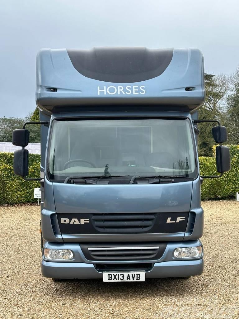 DAF LF Horsebox (2020 Build) Lastbiler til dyretransport