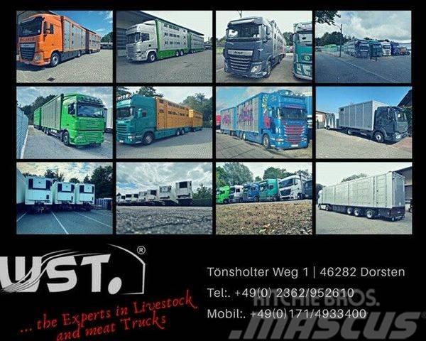 Schmitz Cargobull Tiefkühl Blumenbreit Vector 1550 Stom/Diesel Semi-trailer med Kølefunktion