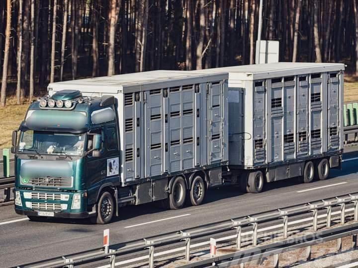 Volvo FH 12 Animal transporter Lastbiler til dyretransport