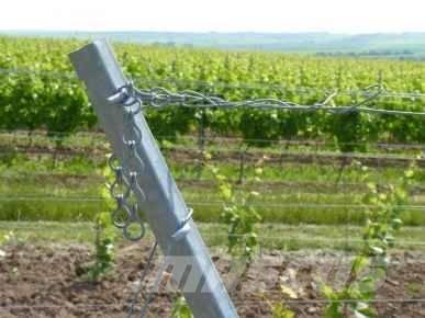 MEISER ARTOS Razlicni Tilbehør til frugt og vin udstyr