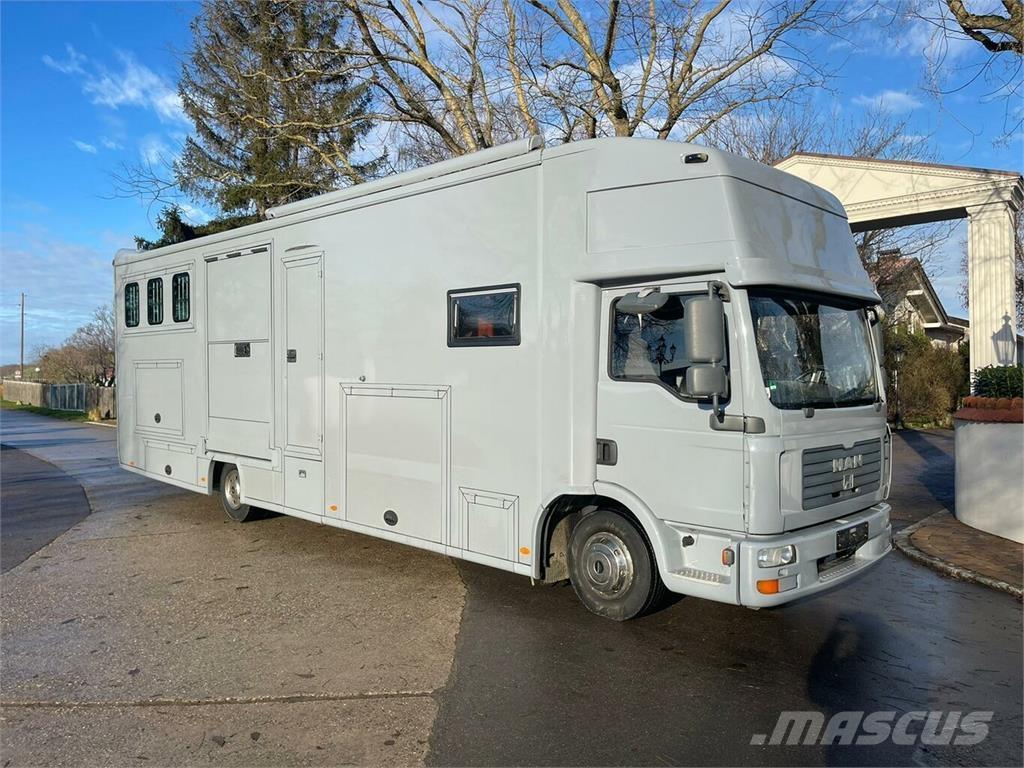 MAN TGL 12240 RJH 5 Pferde Popout Wohnmobilzul.... Lastbiler til dyretransport