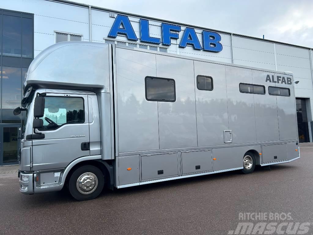 MAN ALFAB Comfort hästlastbil Lastbiler til dyretransport
