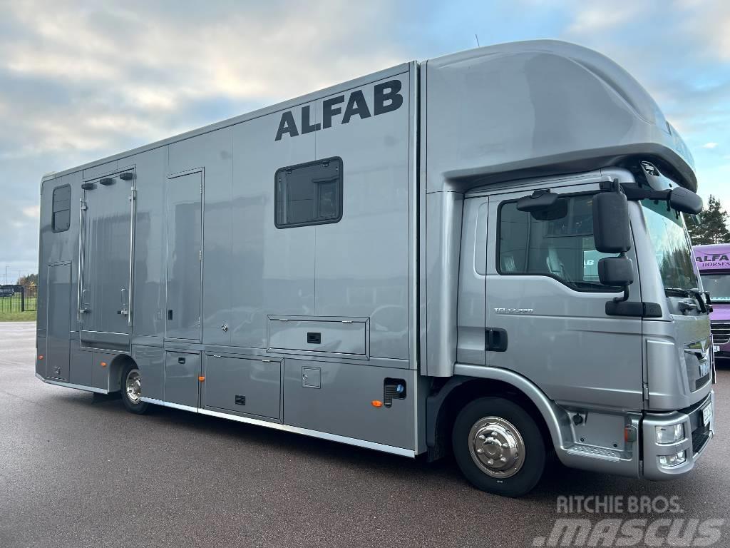 MAN ALFAB Comfort hästlastbil Lastbiler til dyretransport