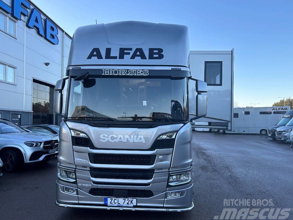 Scania P280 ALFAB Professional hästlastbil Lastbiler til dyretransport