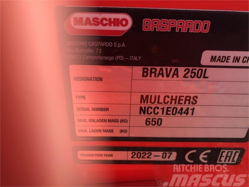 Maschio Brava 250 PÅ LAGER TIL OMGÅENDE LEVERING Græsslåmaskiner
