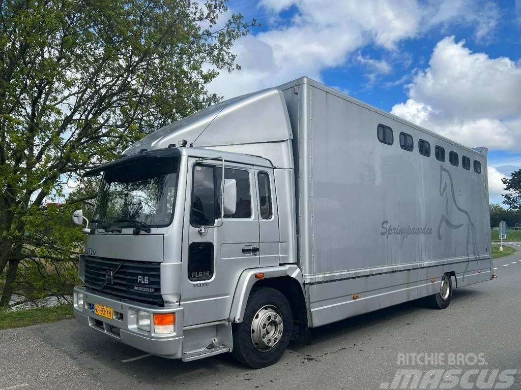 Volvo FL 614 12T 5 Paarden + Zadelkamer Lastbiler til dyretransport