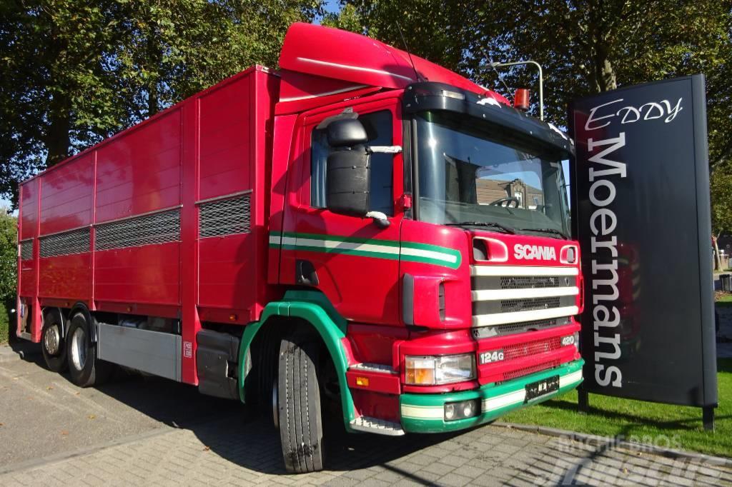 Scania P 124G 420 6x2*4 Livestock Lastbiler til dyretransport