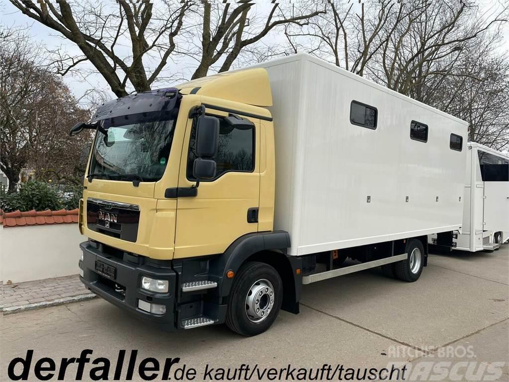 MAN 15250 6 Pferde neuer Aufbau, Automatik Lastbiler til dyretransport