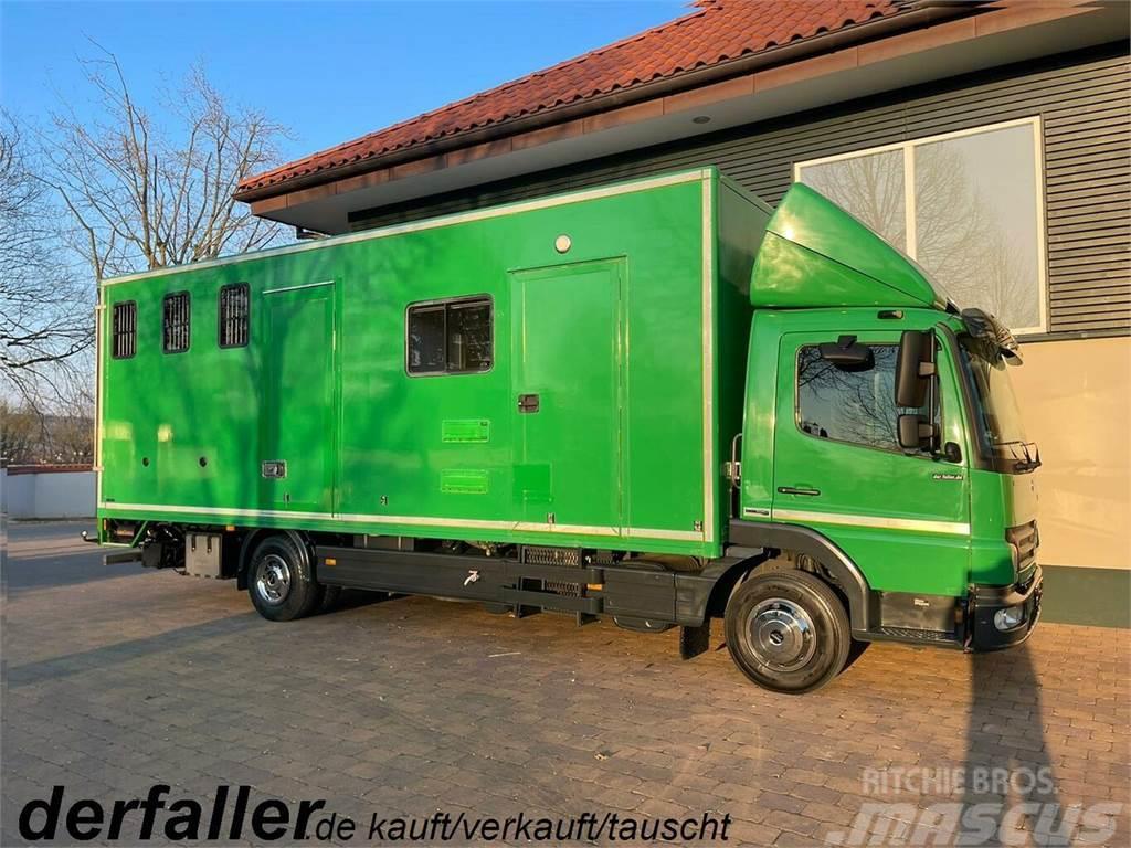 MERCEDES-BENZ Atego 1018 4 Pferde Euro 5 Automatik Klima Lastbiler til dyretransport
